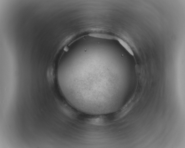 X0000112380116200908131537