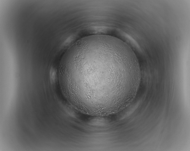 X0000112380123200908131537