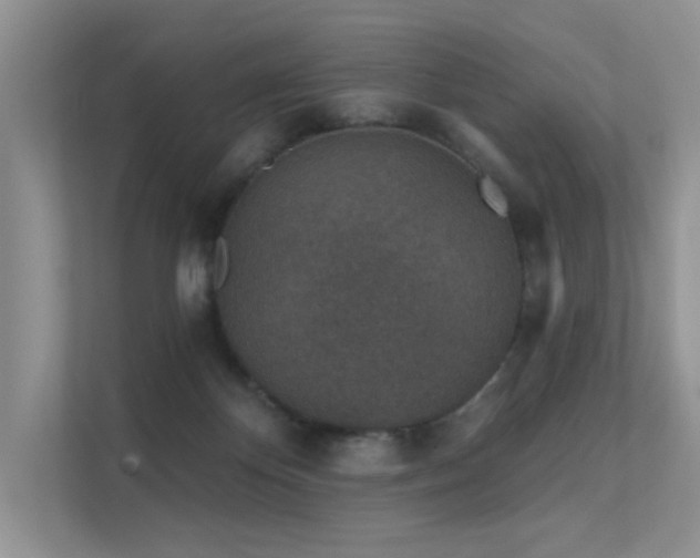 X0000112380124200908131537