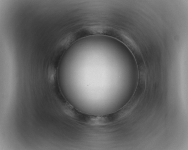 X0000112380125200908131536