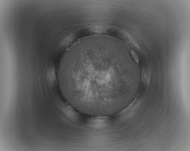 X0000112380128200908131536