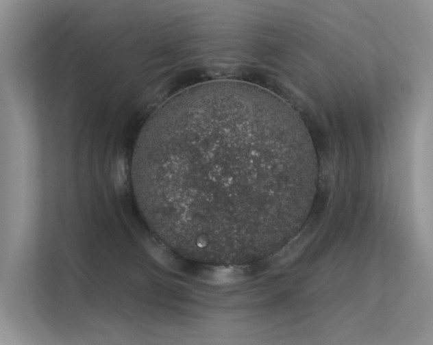 X0000112380130200908131536