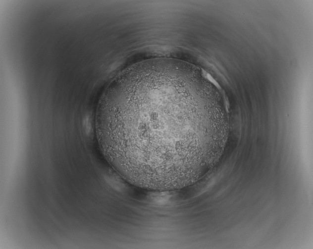 X0000112380131200908131536