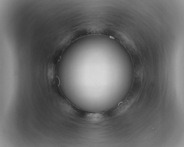 X0000112380133200908131536