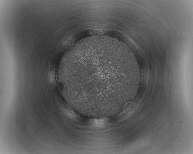 X0000112380134200908131536