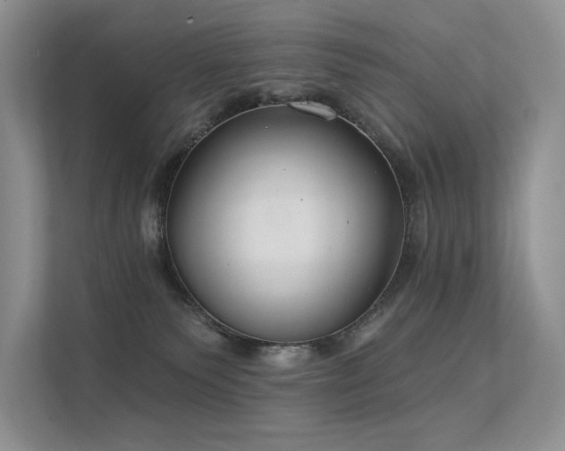 X0000112380135200908131536