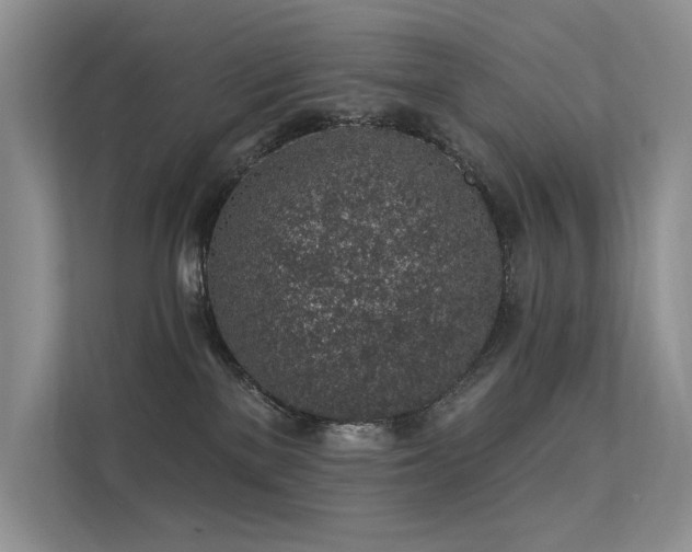 X0000112380137200908131536