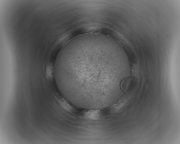 X0000112380138200908131536