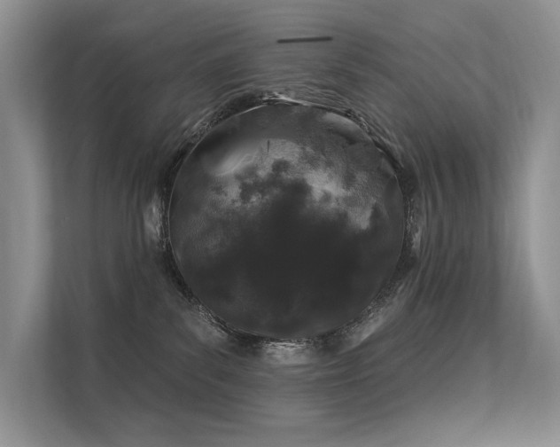 X0000112380139200908131536