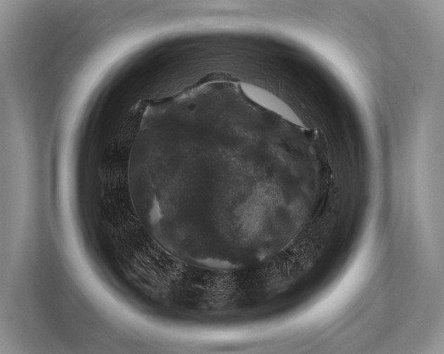 X0000112380143200908131536