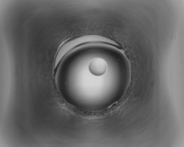 X0000112380144200908131536