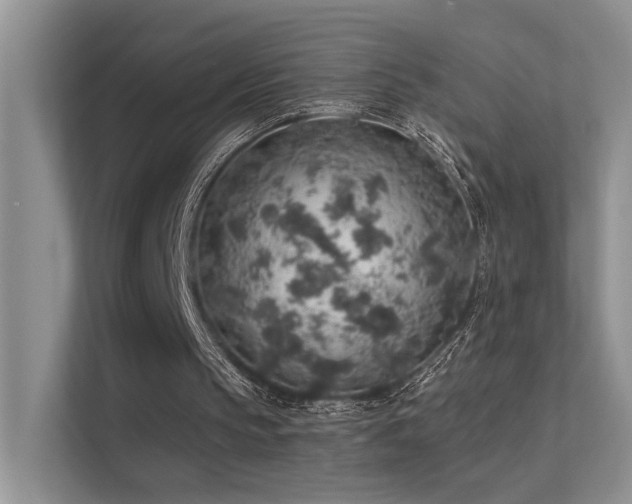 X0000112380145200908131536