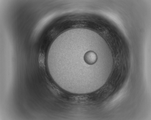 X0000112380146200908131536