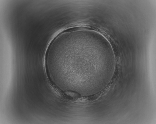 X0000112380148200908131536