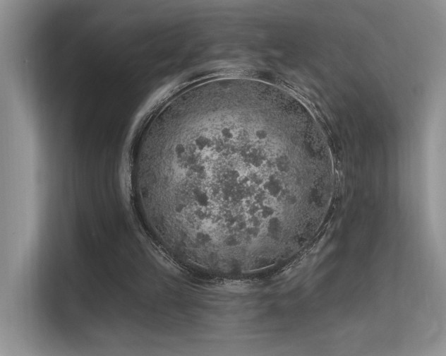 X0000112380149200908131536