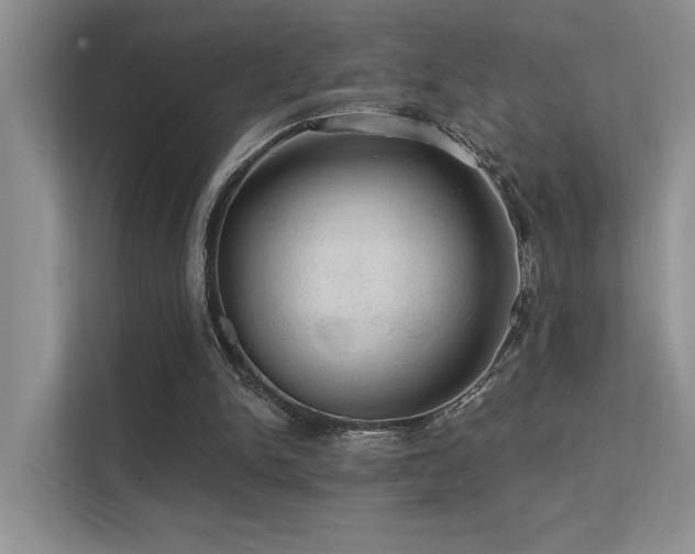 X0000112380150200908131536