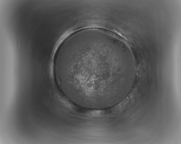 X0000112380152200908131536