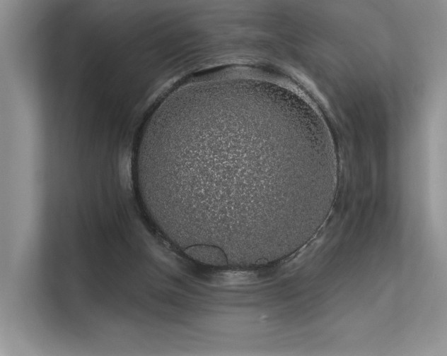 X0000112380154200908131536