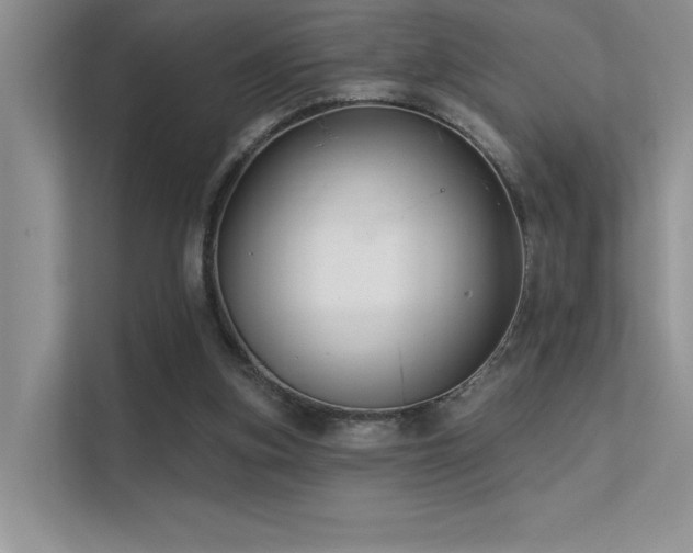 X0000112380155200908131536