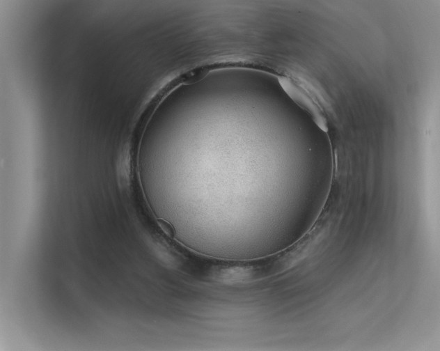 X0000112380156200908131536