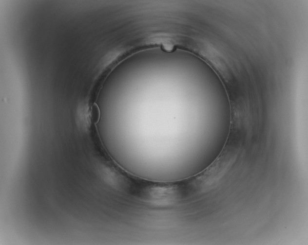 X0000112380160200908131536