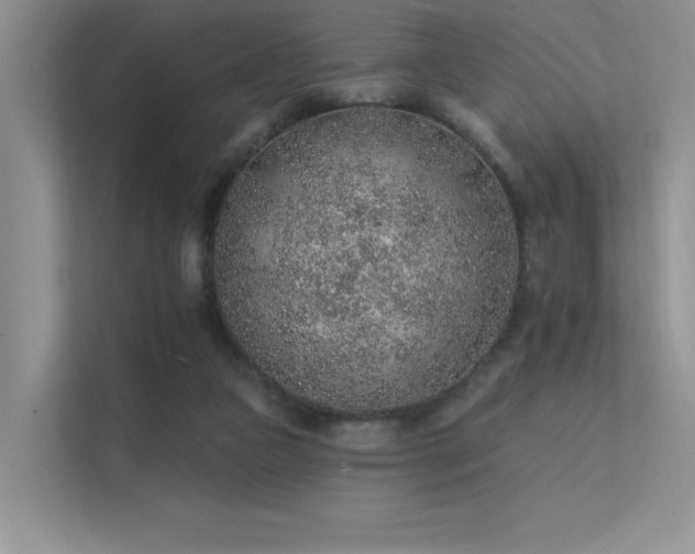 X0000112380161200908131536