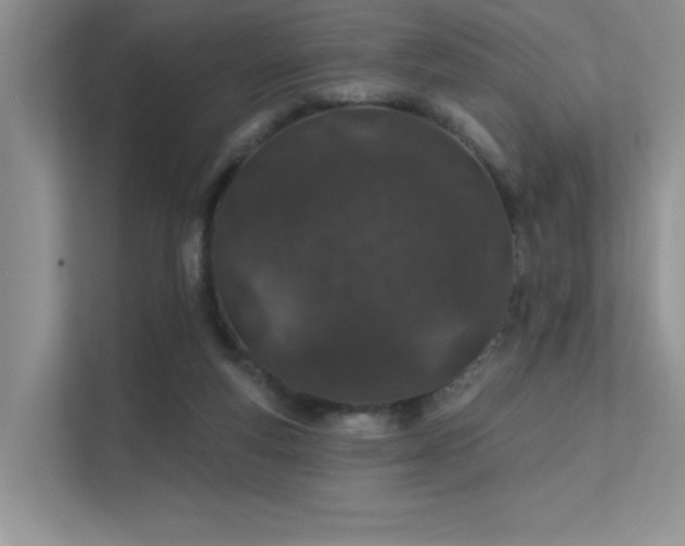 X0000112380163200908131536