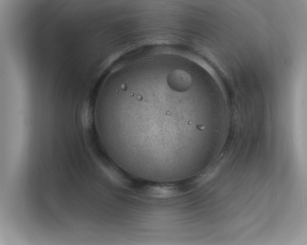 X0000112380164200908131536