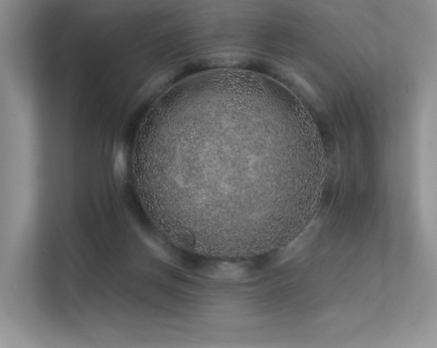 X0000112380166200908131536