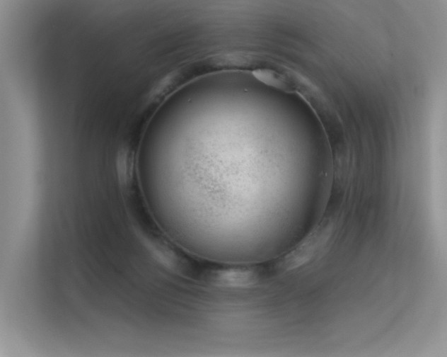 X0000112380168200908131536