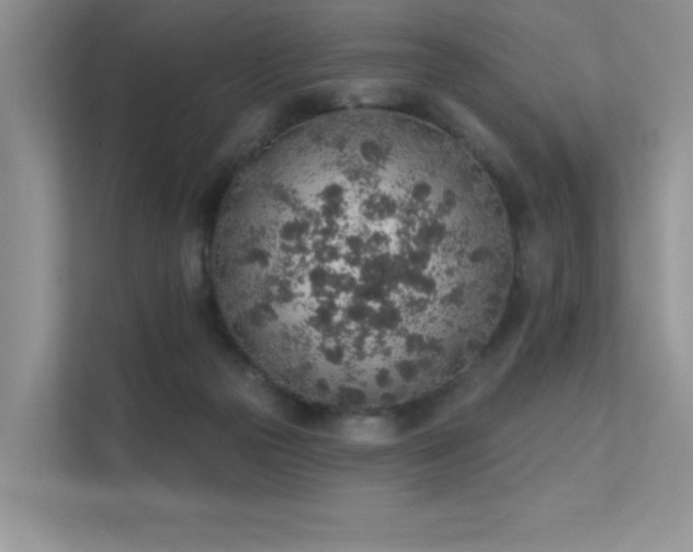 X0000112380169200908131536