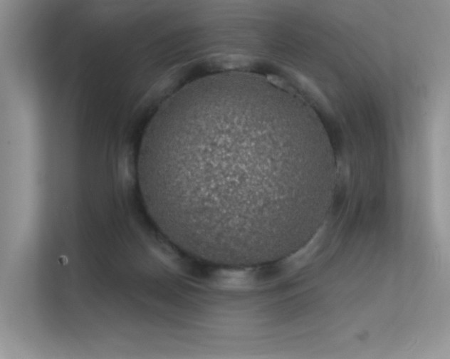 X0000112380170200908131536