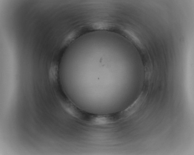 X0000112380171200908131536