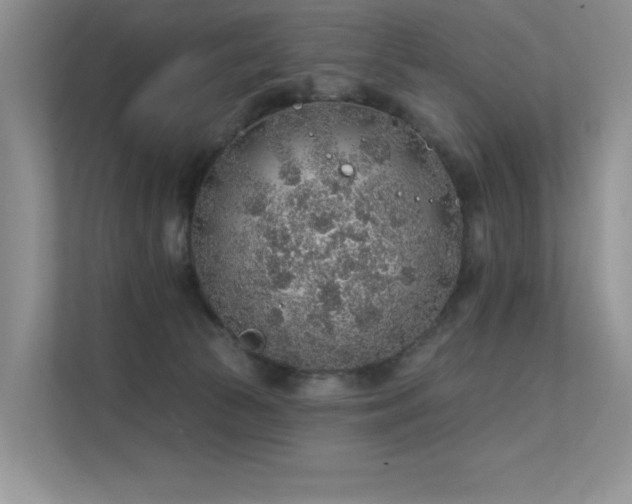 X0000112380177200908131536