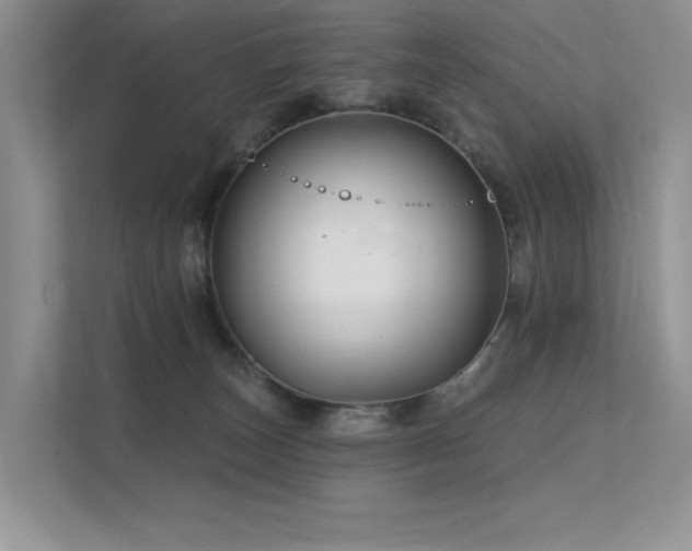 X0000112380179200908131536