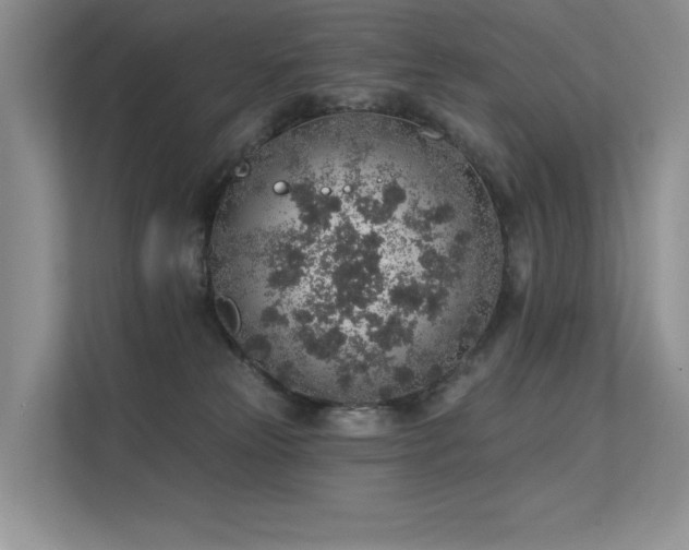 X0000112380181200908131536