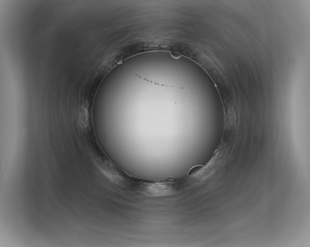 X0000112380183200908131536