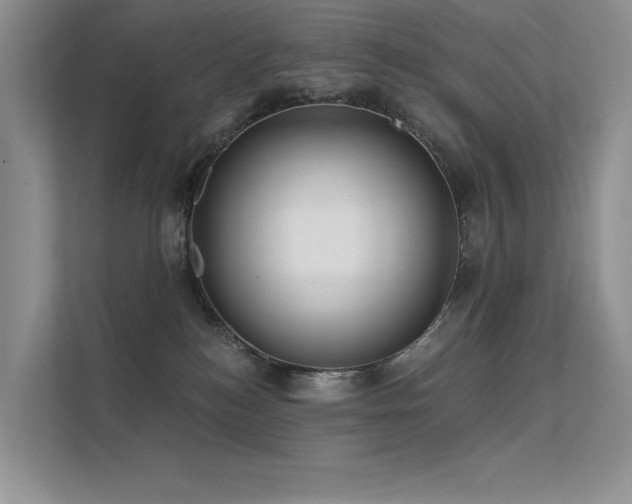 X0000112380184200908131536