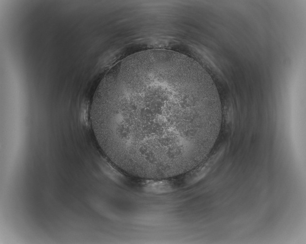 X0000112380185200908131536