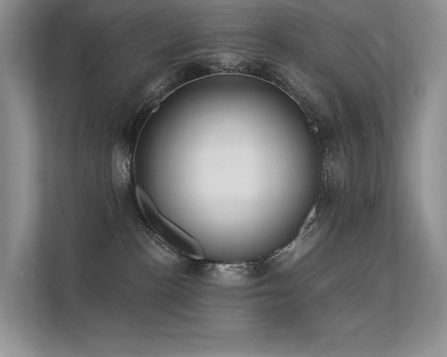 X0000112380188200908131536