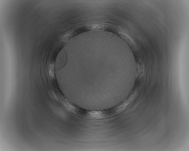 X0000112380189200908131536