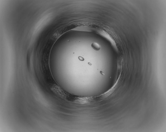 X0000112380190200908131536