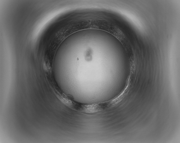 X0000112380191200908131536