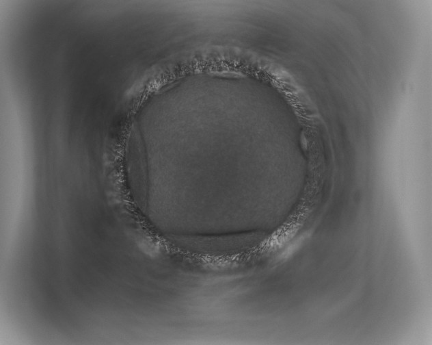 X0000112380192200908131536