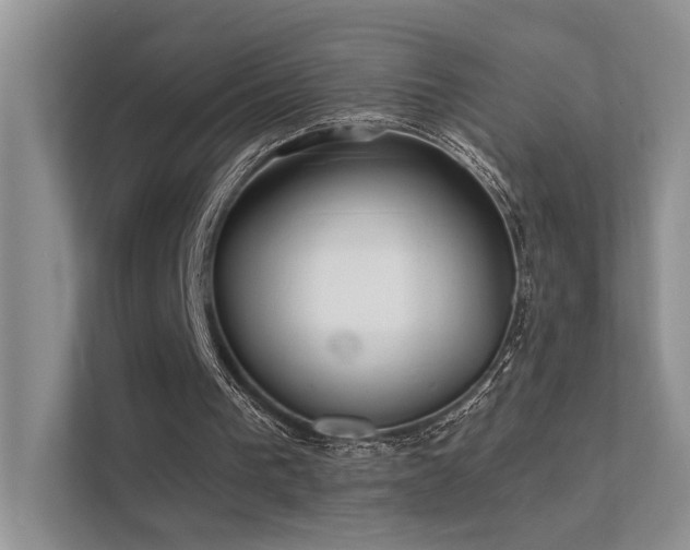 X0000112380193200908131536