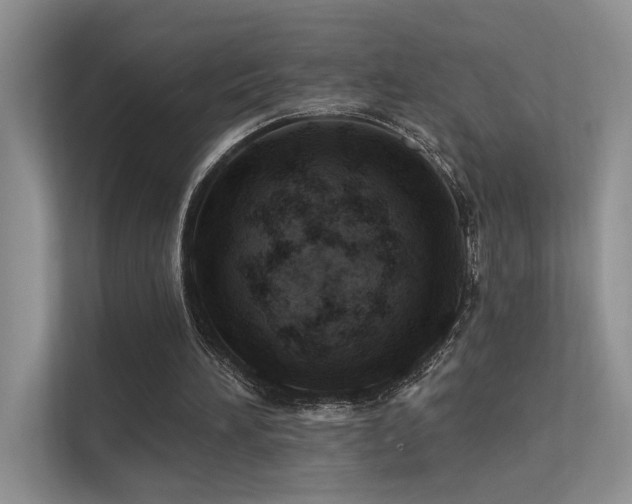 X0000112380196200908131536