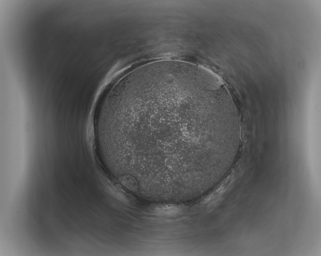 X0000112380198200908131536