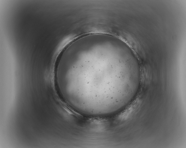 X0000112380199200908131536