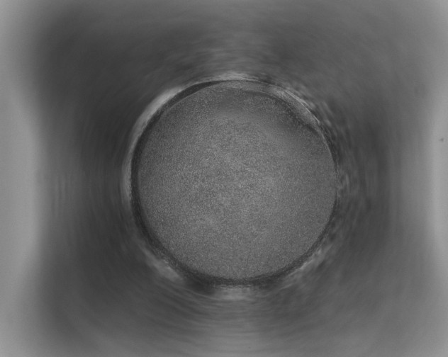 X0000112380200200908131536