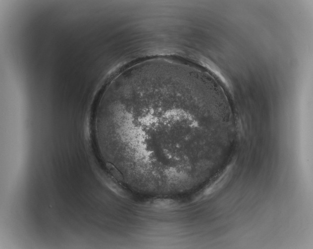 X0000112380203200908131535